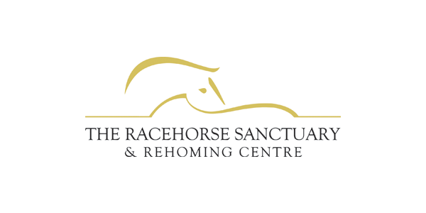 The Racehorse Sanctuary